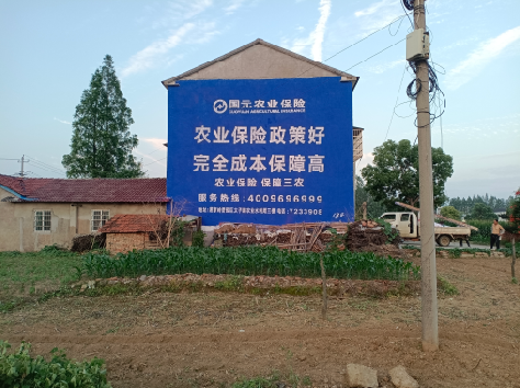 龙泉墙体广告为何受追捧？